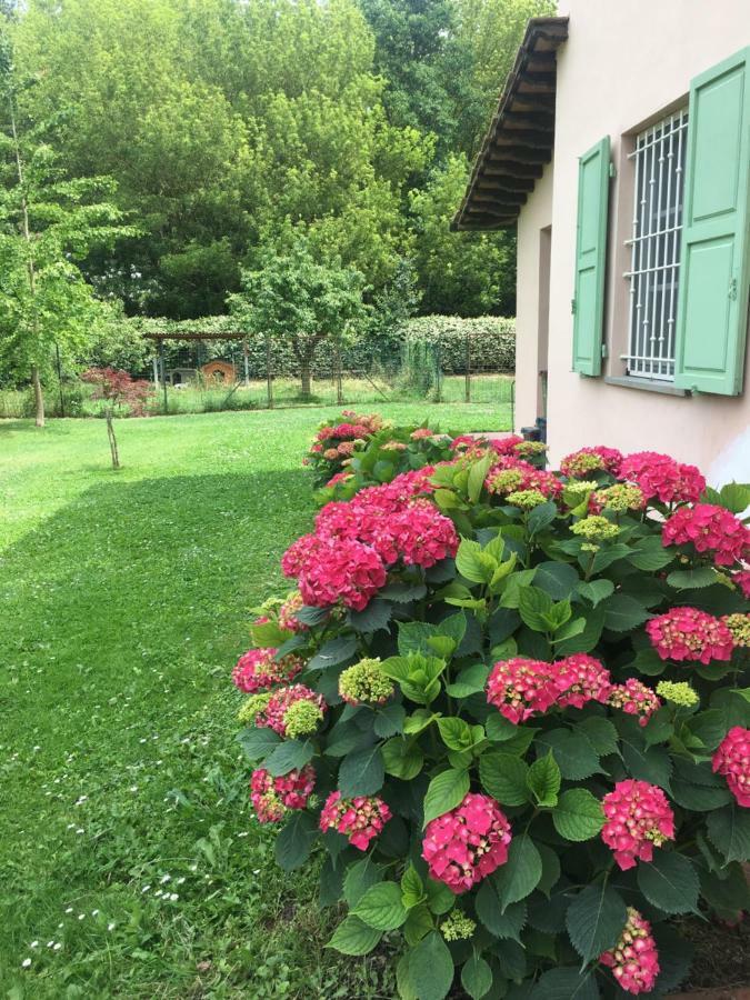 Villa Favilli Pisa Exterior foto